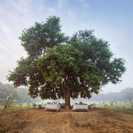 Mela Kothi - The Chambal Safari Lodge Bāh Eksteriør billede