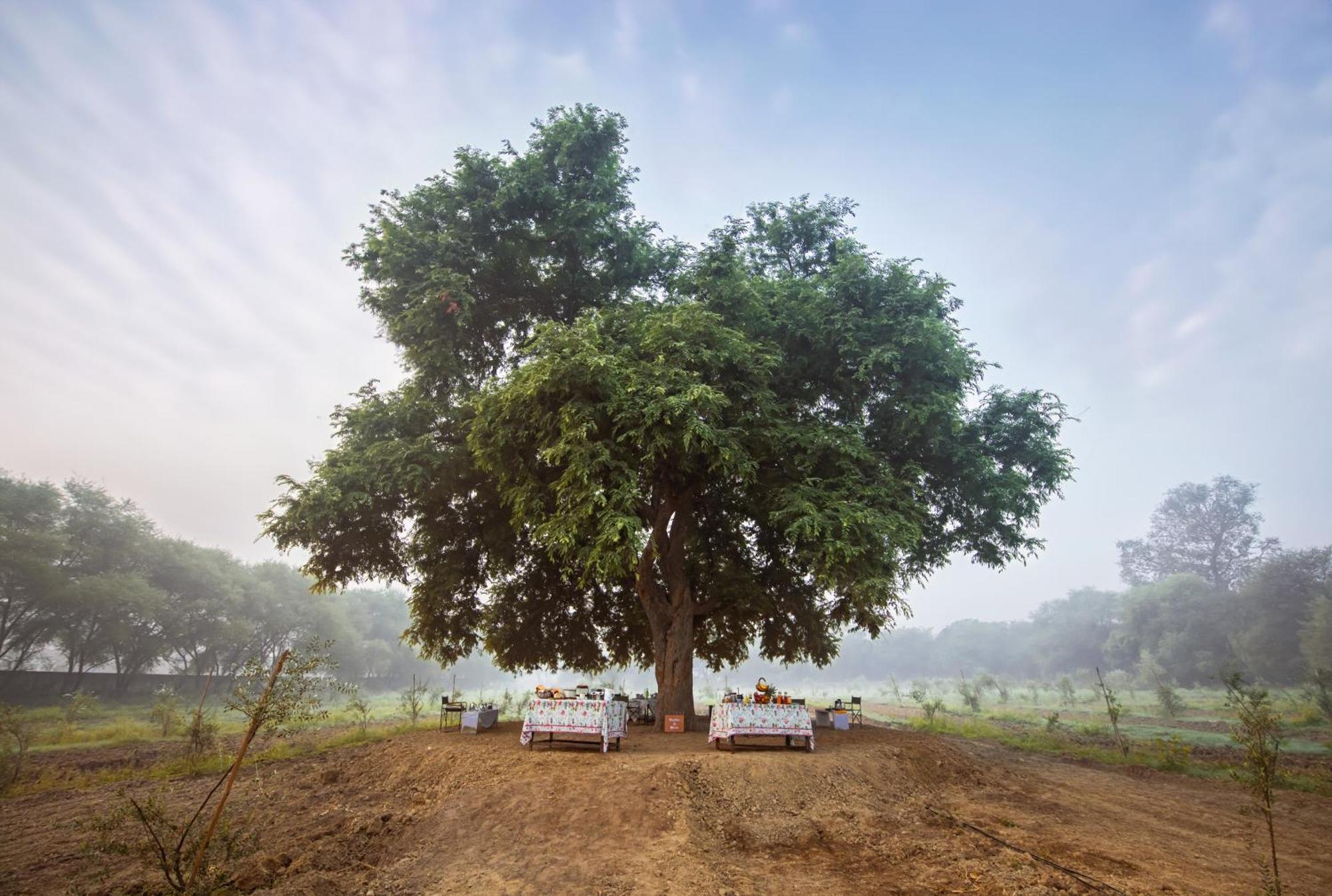 Mela Kothi - The Chambal Safari Lodge Bāh Eksteriør billede